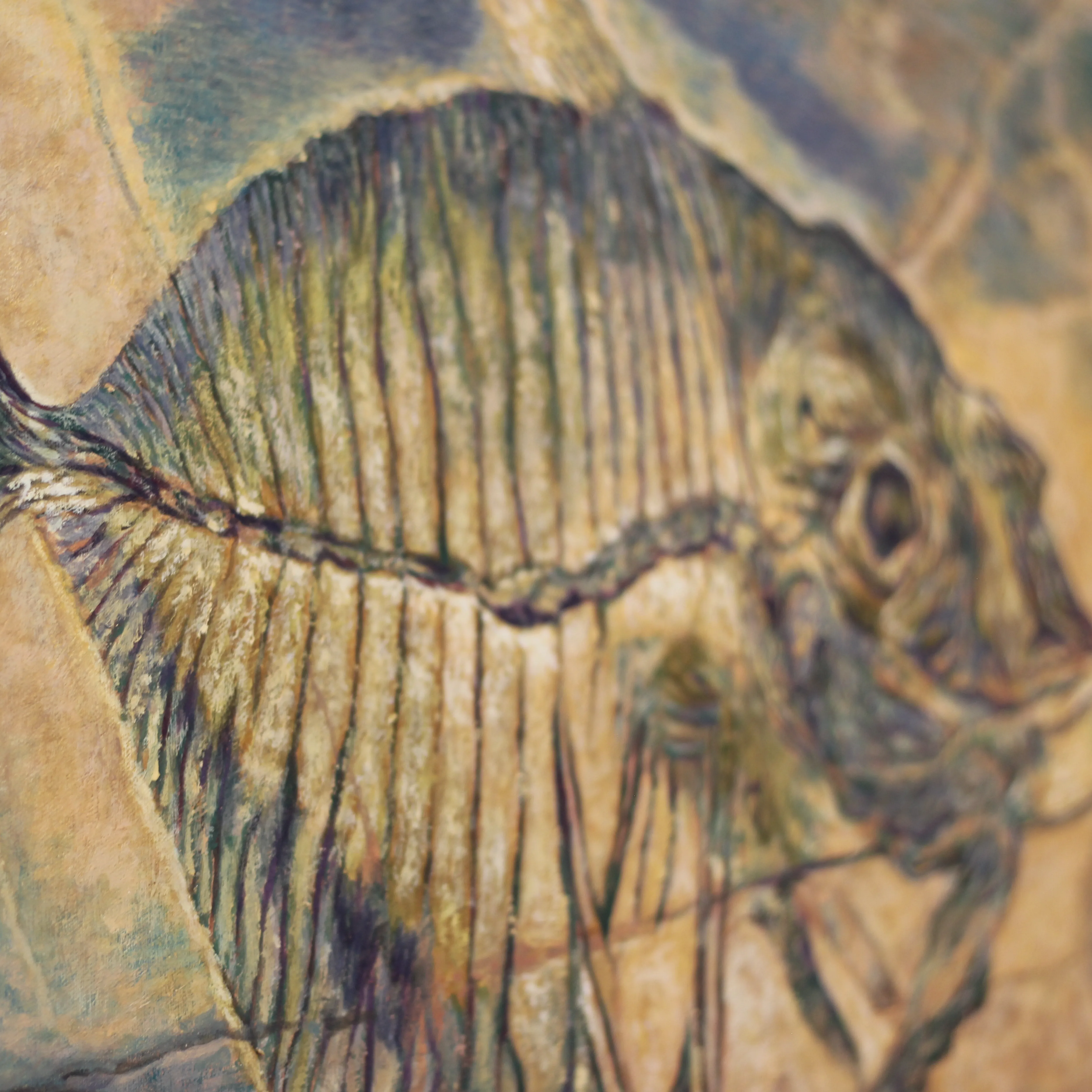 Fósil - Raúl Macías - Image 3