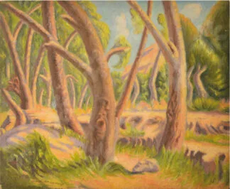 Árboles con rostro - Benjamín Coria