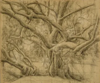 Boceto de árbol - Benjamín Coria